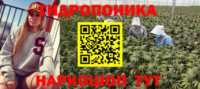эйфоретик Владикавказ
