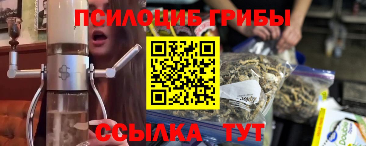 Псилоцибиновые грибы Psilocybe  Вход с VPN  Галлюциногенные грибы ЛСД  Бор 