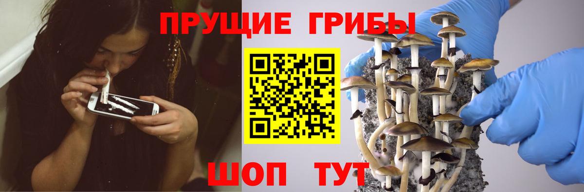 Галлюциногенные грибы MAGIC MUSHROOMS Бор